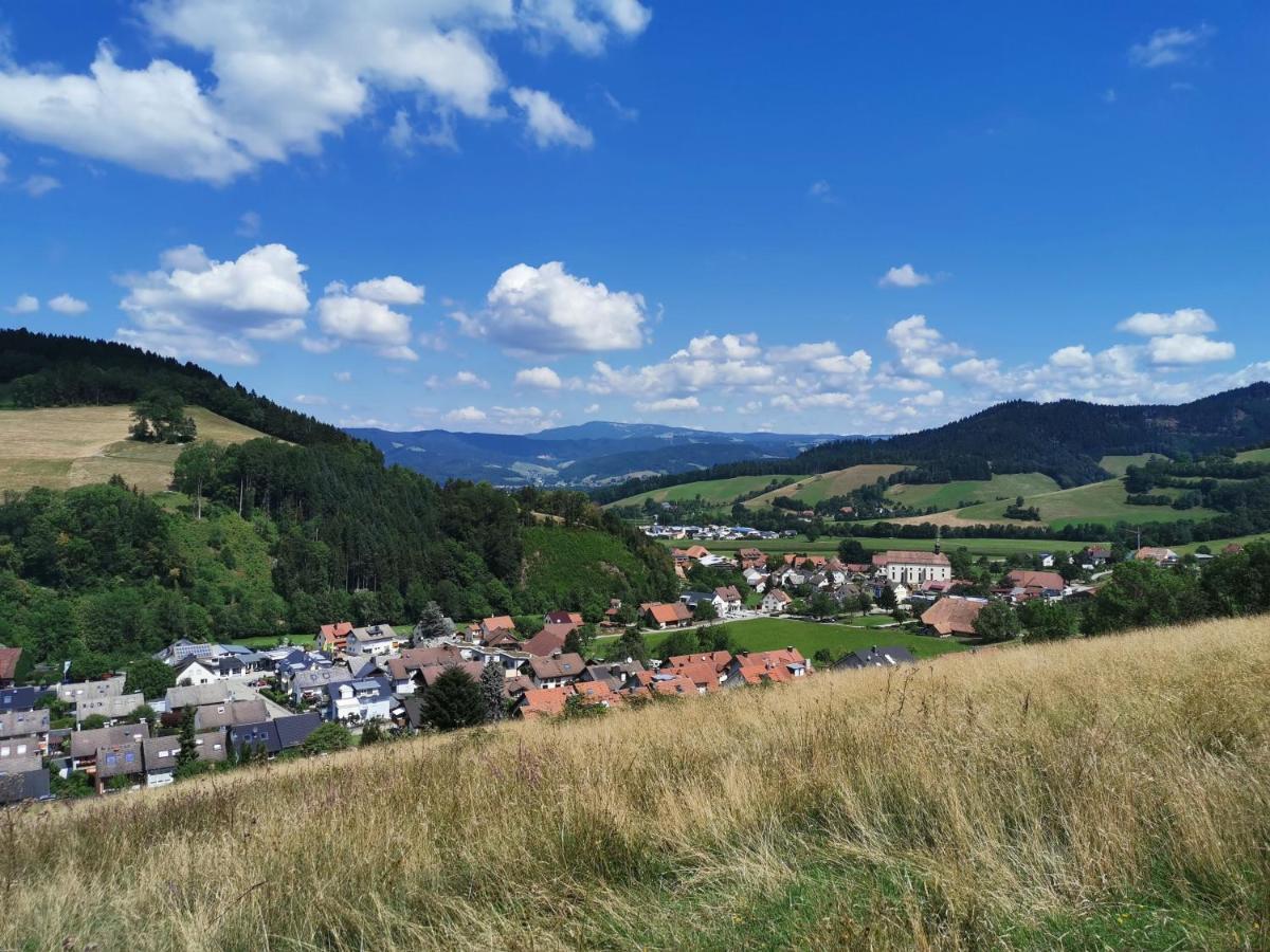 Goldener Adler Oberried - Hotel & Appartements Экстерьер фото